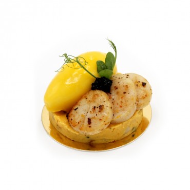 Saint-Jacques sur crémeux...